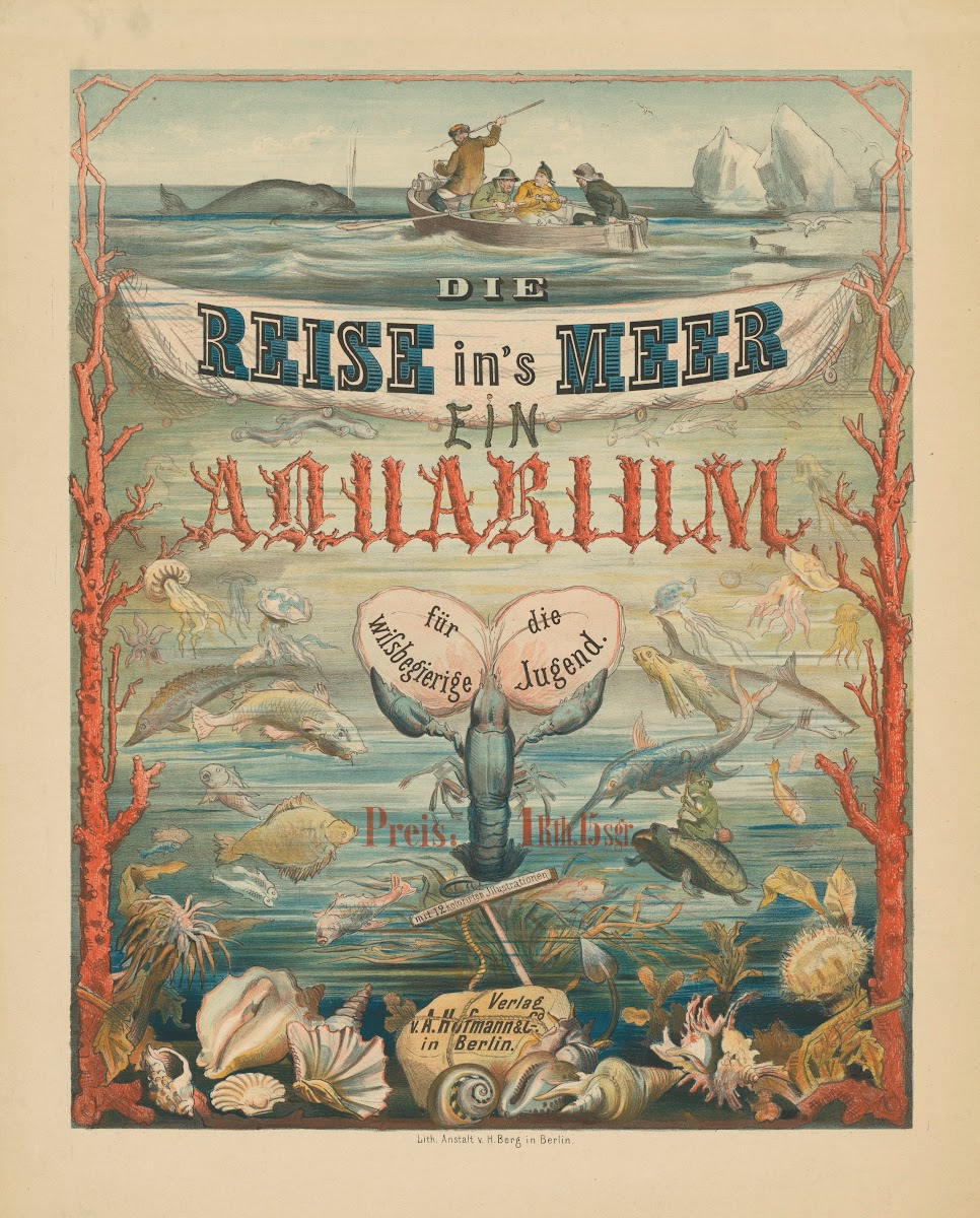Die Reise Ins Meer Ein Aquarium 1869