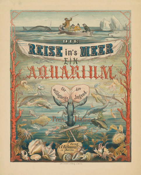 Die Reise Ins Meer Ein Aquarium 1869