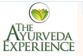 The Ayurveda Experience IT logo