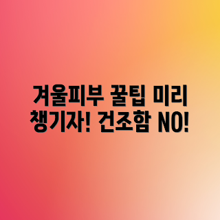 겨울철 건성피부, 피부 관리 팁, 초보자 피부 관리, 보습 제품 추천, 겨울철 피부 걱정