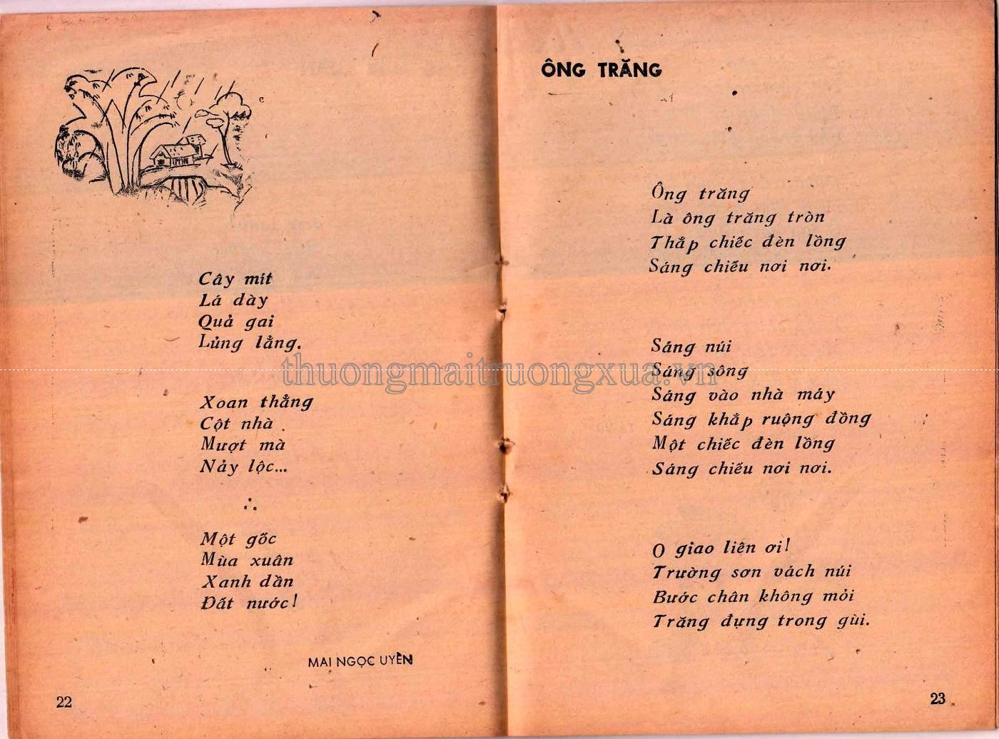 Hoa mơ (1975) - Trang 12