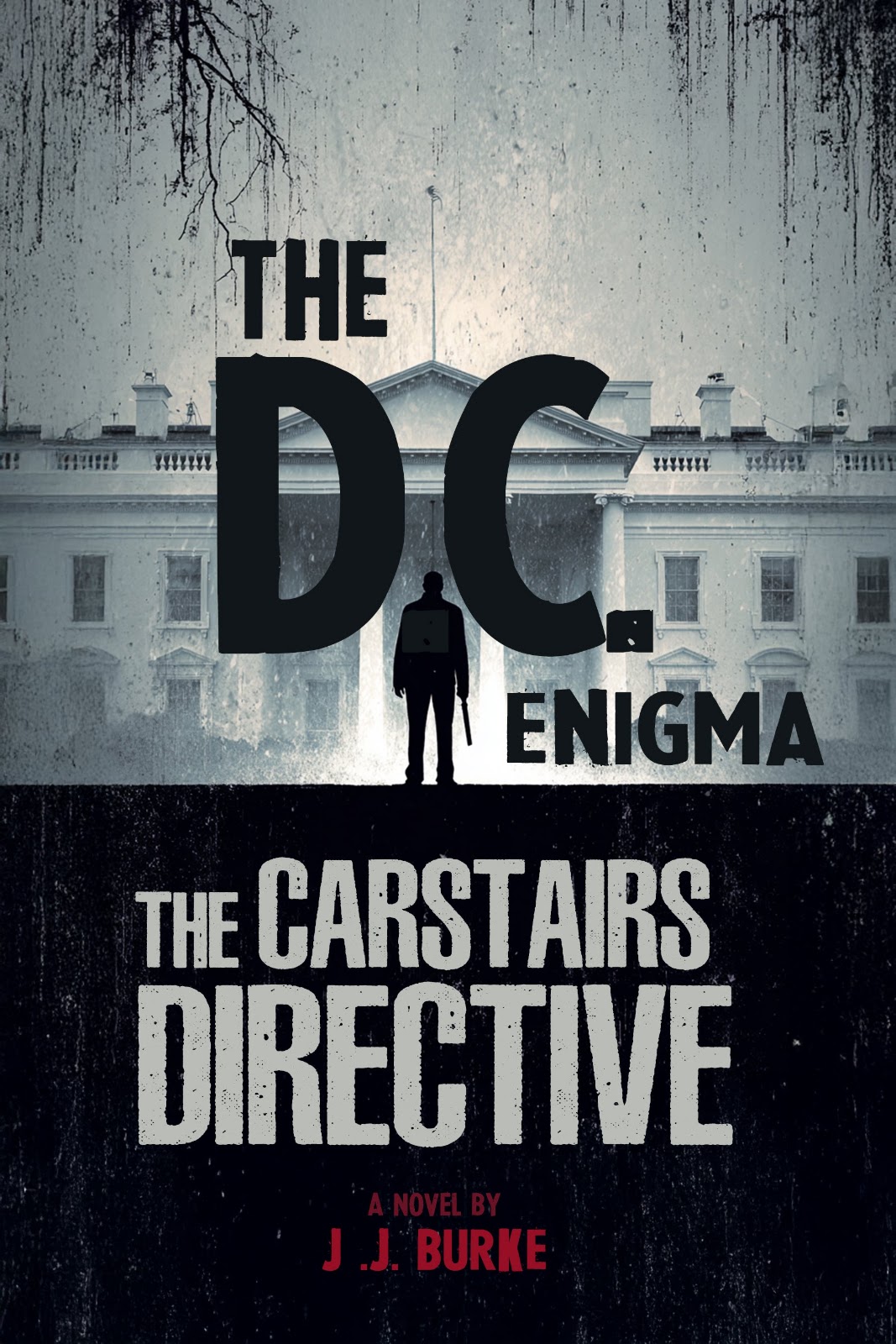 The D.C. Enigma: A Political Thriller That Reads Like Real Life