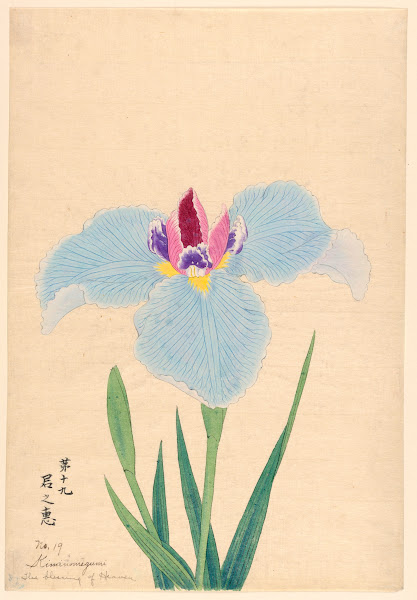 The Blessing of Heaven Kiminomegumi 1910
