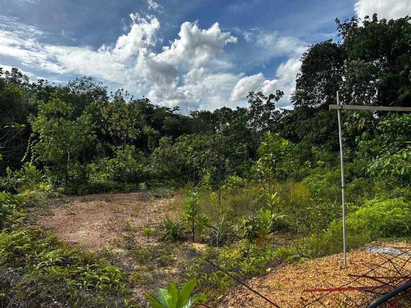 Bungalow Lot Sungai Merab