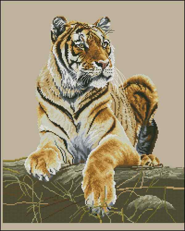 CMP 400451 Tiger