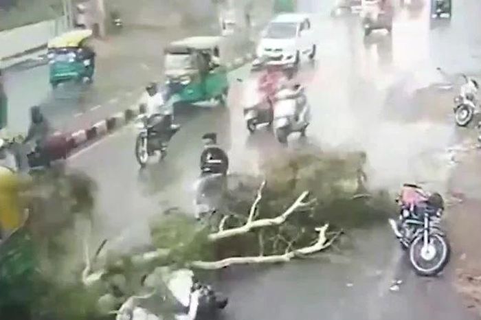 Cành cây gãy rơi giữa đường, xe máy chở ba bị đè trúng - Tạp chí Doanh Nghiệp Việt Nam