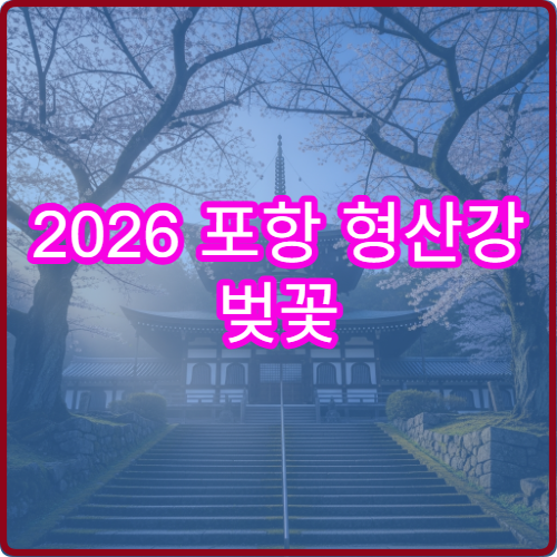 2026 포항 형산강 벚꽃 대중교통 포항역에서 20분 완벽 접근법