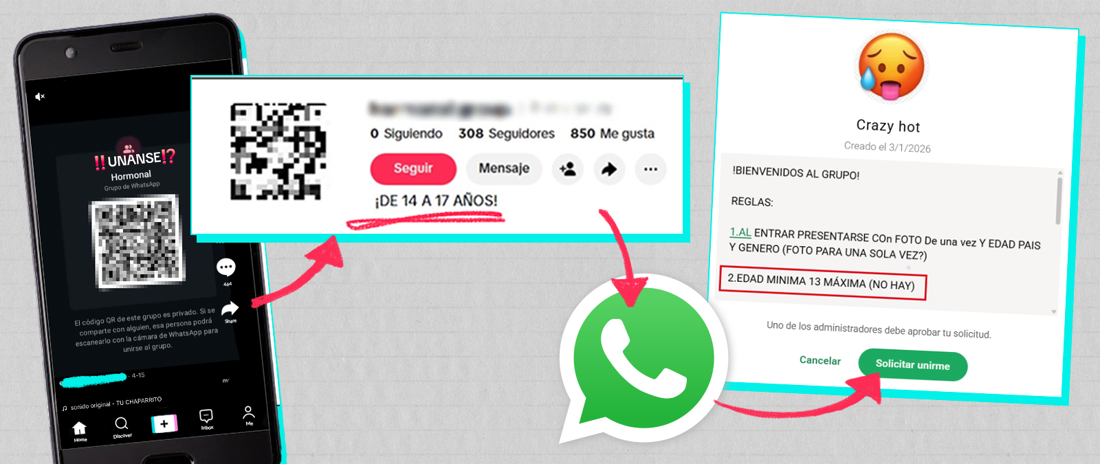 Grupo de WhatsApp llamado «Hormonal» que admite a menores de 14 a 17 años
