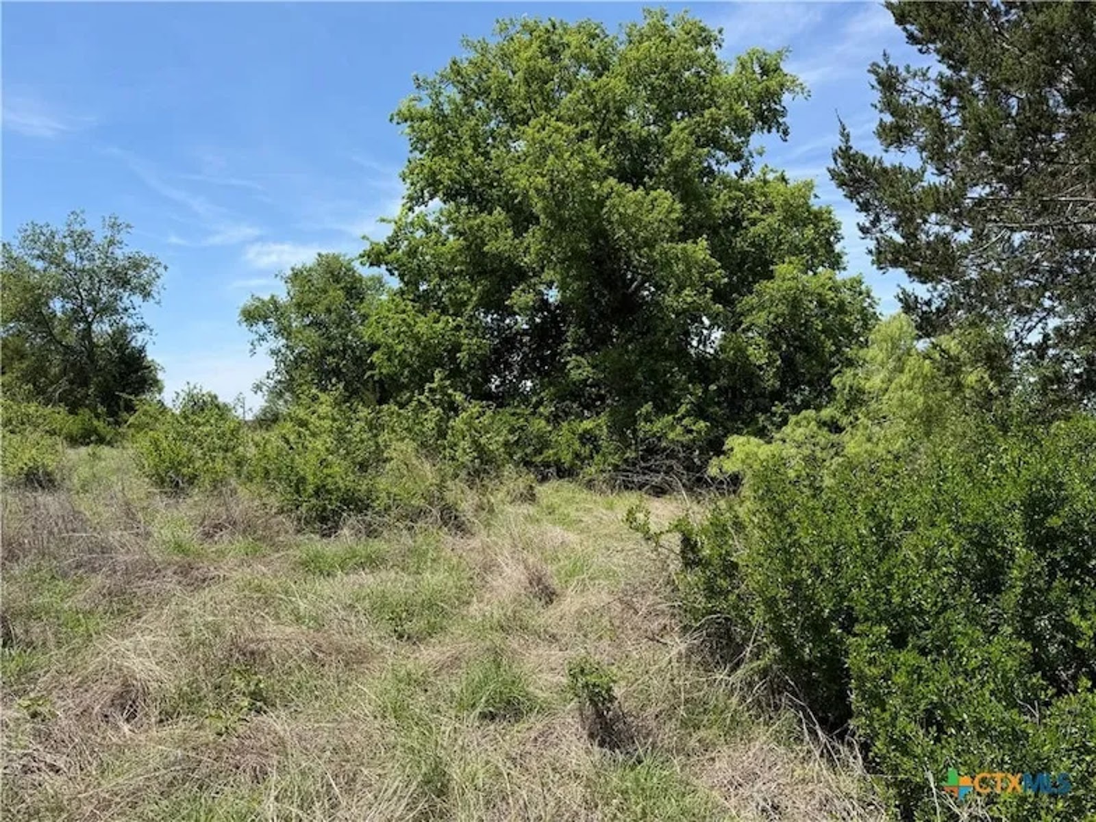 TBD Private Road 3033, Hamilton, TX, photo 6