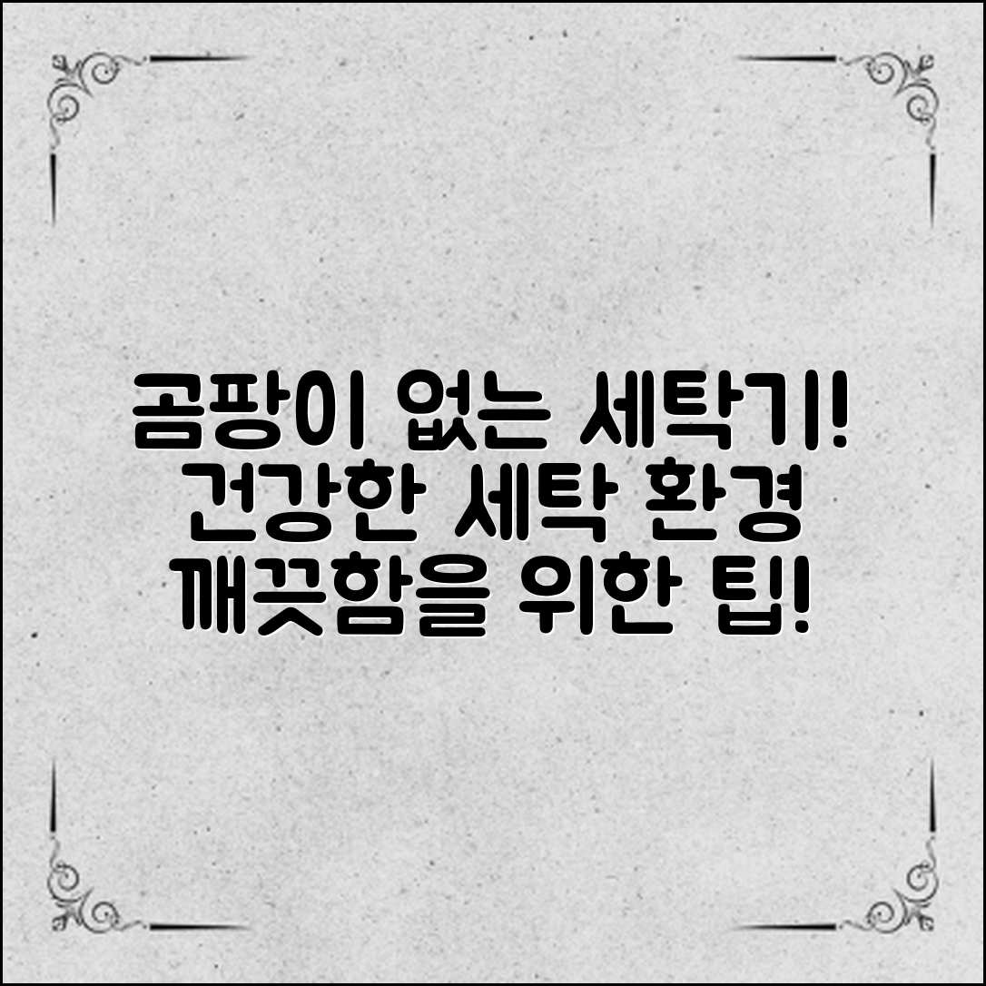 ** 곰팡이 없는 깨끗한 세탁기 관리법 및 활용 팁을 통해 건강한 세탁 환경을 만들어 보세요.