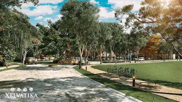 Xelvatika – photo 3