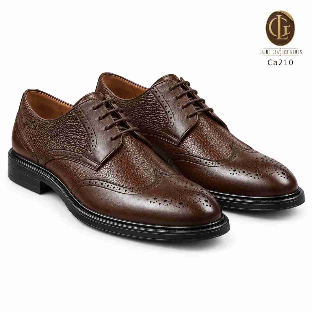 Ca210 بني