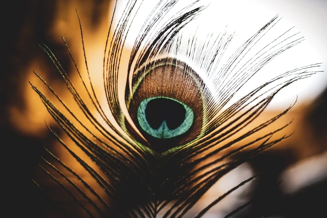 Contemplative practice