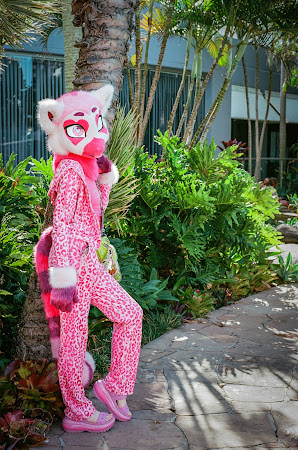 furdu-32.jpg