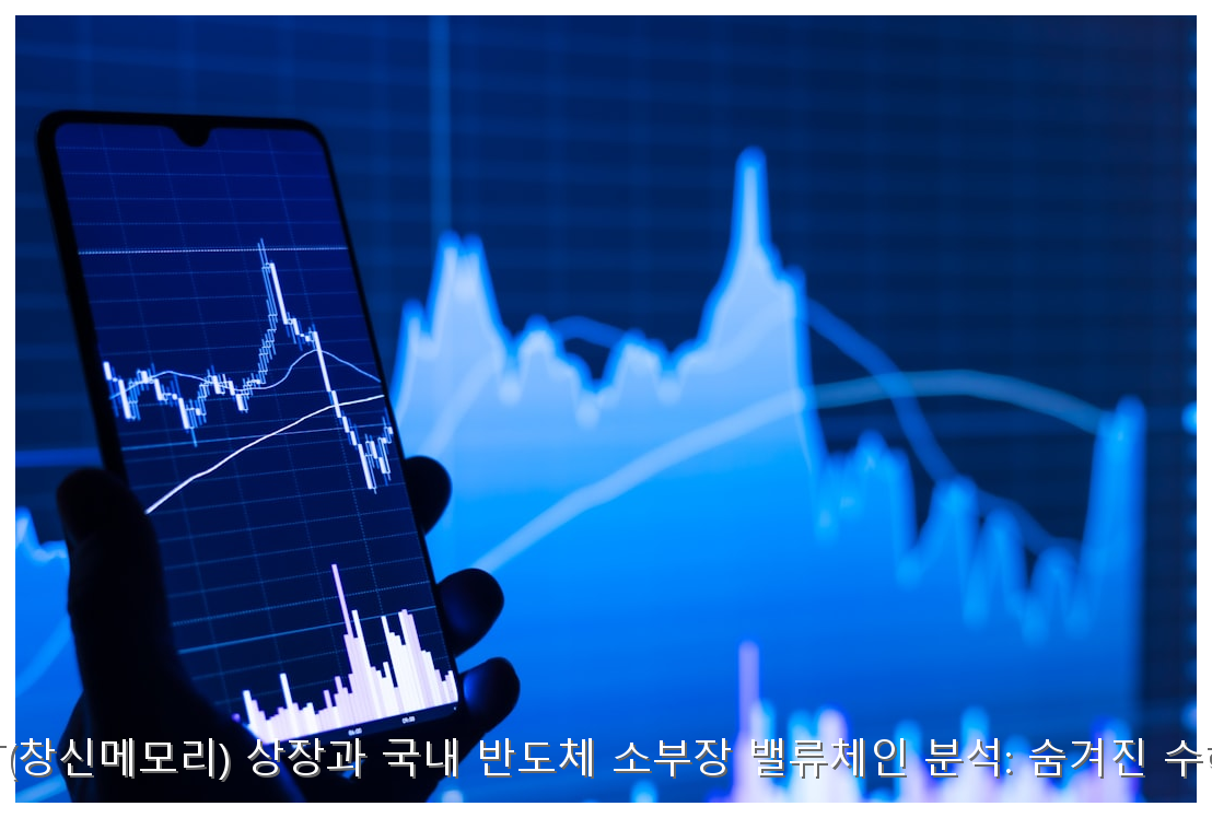 중국 CXMT(창신메모리) 상장과 국내 반도체 소부장 밸류체인 분석: 숨겨진 수혜주 TOP 5 핵심 안내 및 분석 인포그래픽 (3)