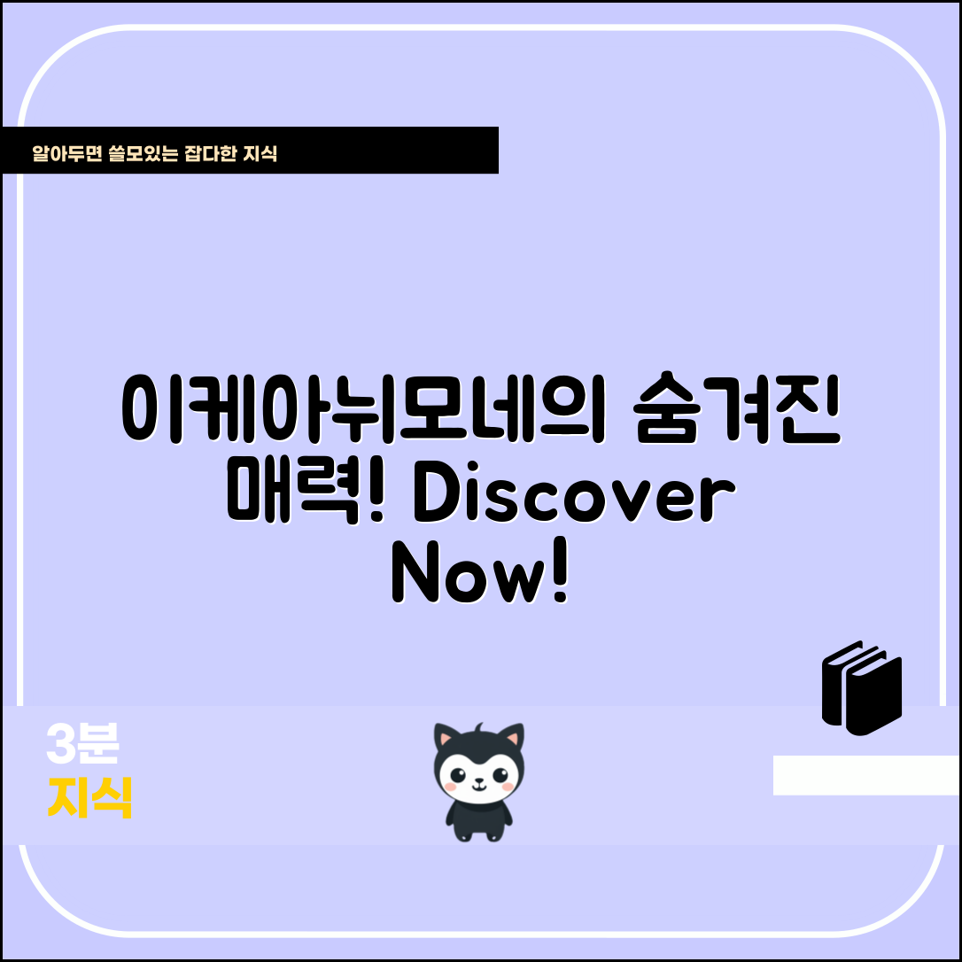 믿을 수 없는 이케아뉘모네의 숨겨진 매력