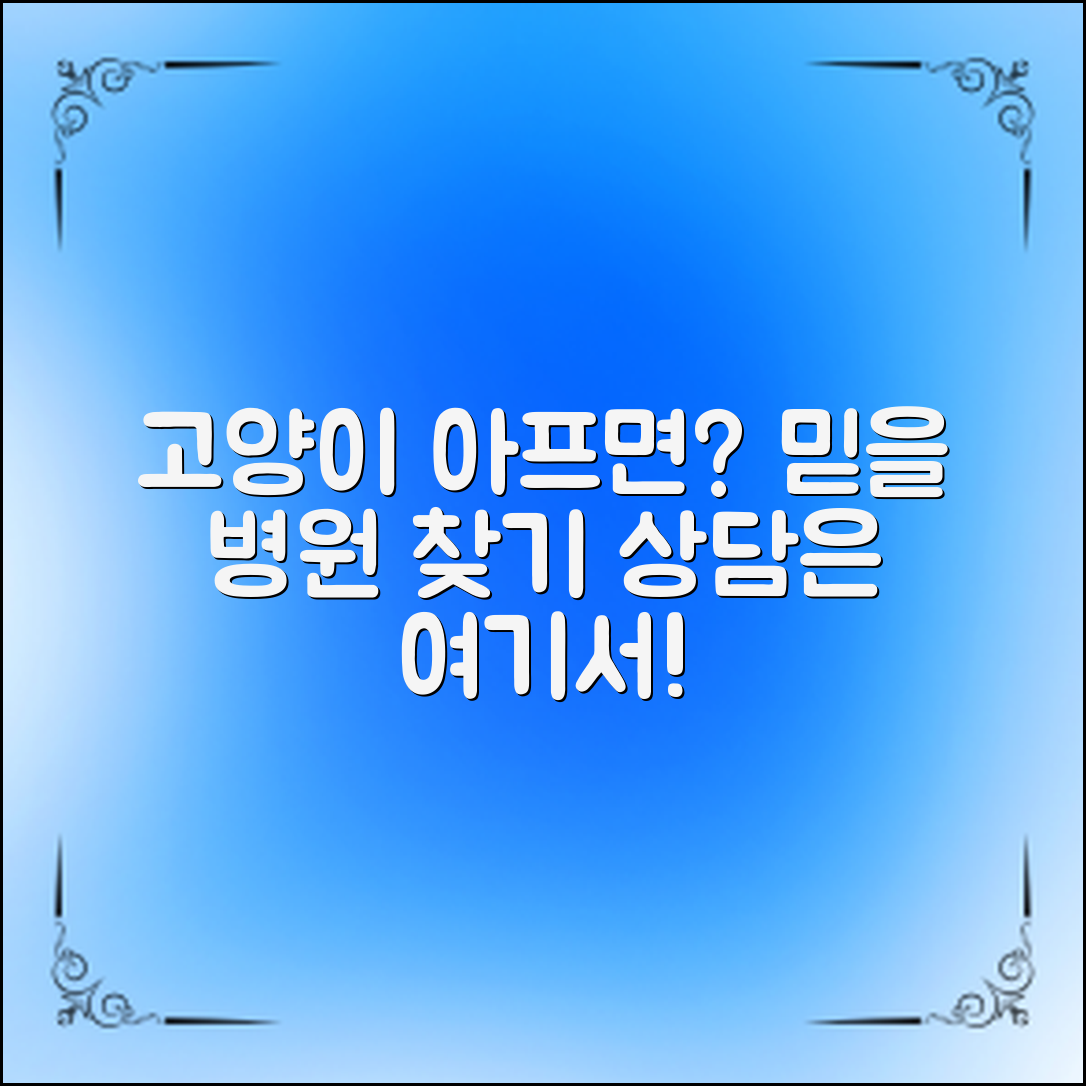 ** 고양이가 아프다고? 믿을 수 있는 상담 가능한 병원은 어디일까?