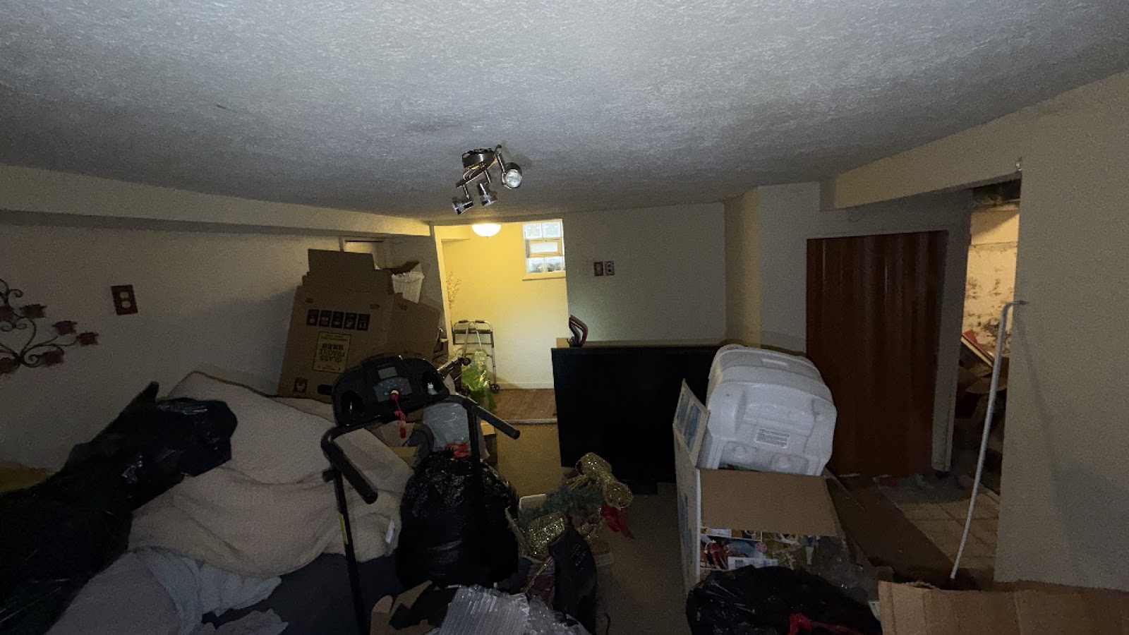 Copy of IMG_2026-03-13_14-29-43_811.jpg