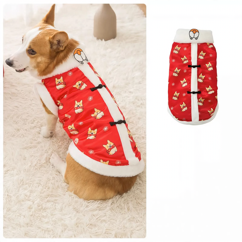 Dog suit in Chinese style, two-piece