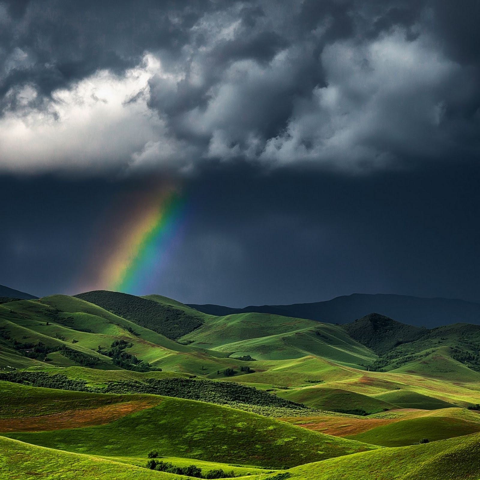 Download Tuscany, Rainbow, Landscape, Rolling Hills Full HD iPhone