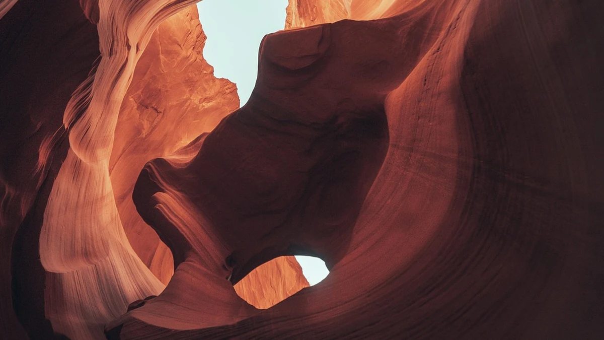 클라우드 네이티브 앱과 전통 앱 구조 차이와 장단점 분석