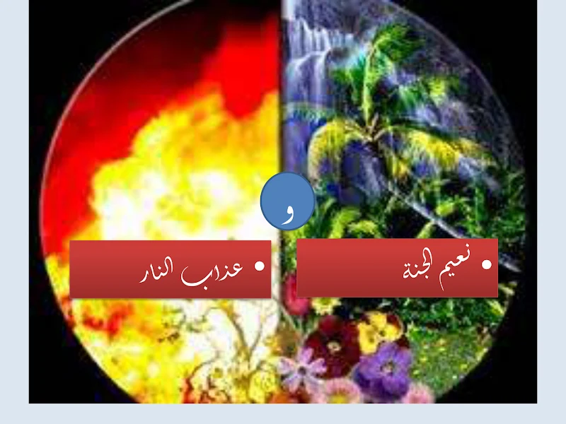 صورة الغلاف