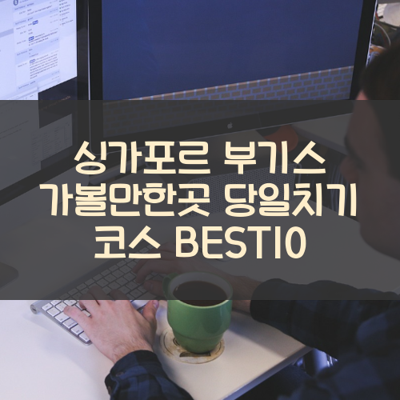 싱가포르 부기스 가볼만한곳 당일치기 코스 BEST10 썸네일
