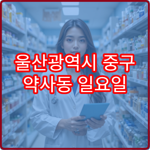 울산광역시 중구 약사동 일요일 영업 현황 한눈에 확인 응급약 구매 가능