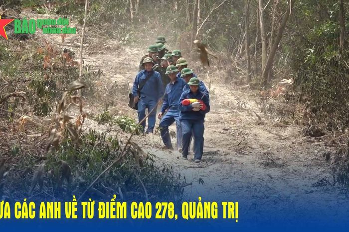 Đưa các anh về từ Cao điểm 278, Quảng Trị - Báo Quân Đội Nhân Dân