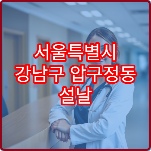 서울특별시 강남구 압구정동 설날 명절 연휴 당번약국 압구정 로데오거리 갤러리아 근처