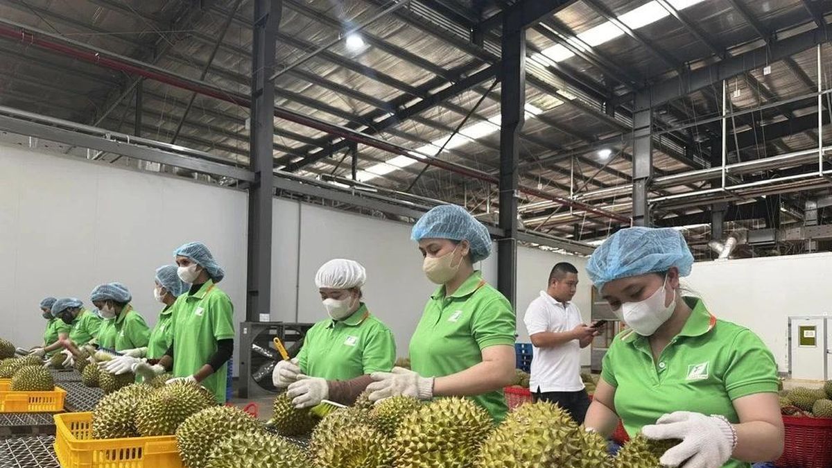 [VIDEO] Việt Nam chia sẻ hệ thống truy xuất nguồn gốc nông sản với Trung Quốc - Báo Tri thức &amp; Cuộc sống