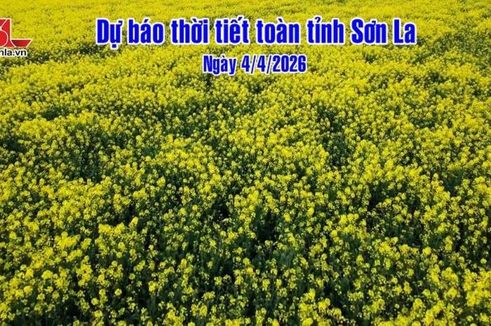 Dự báo thời tiết toàn tỉnh Sơn La ngày 04/4/2026 - Báo Sơn La