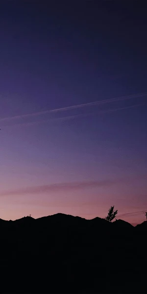 Joshua Tree, Desert Landscape, Silhouette, Night Sky 4K Wallpaper Background