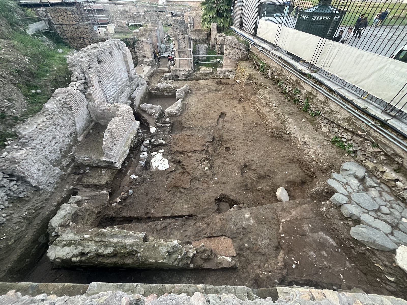 Pendici nord-orientali del Palatino