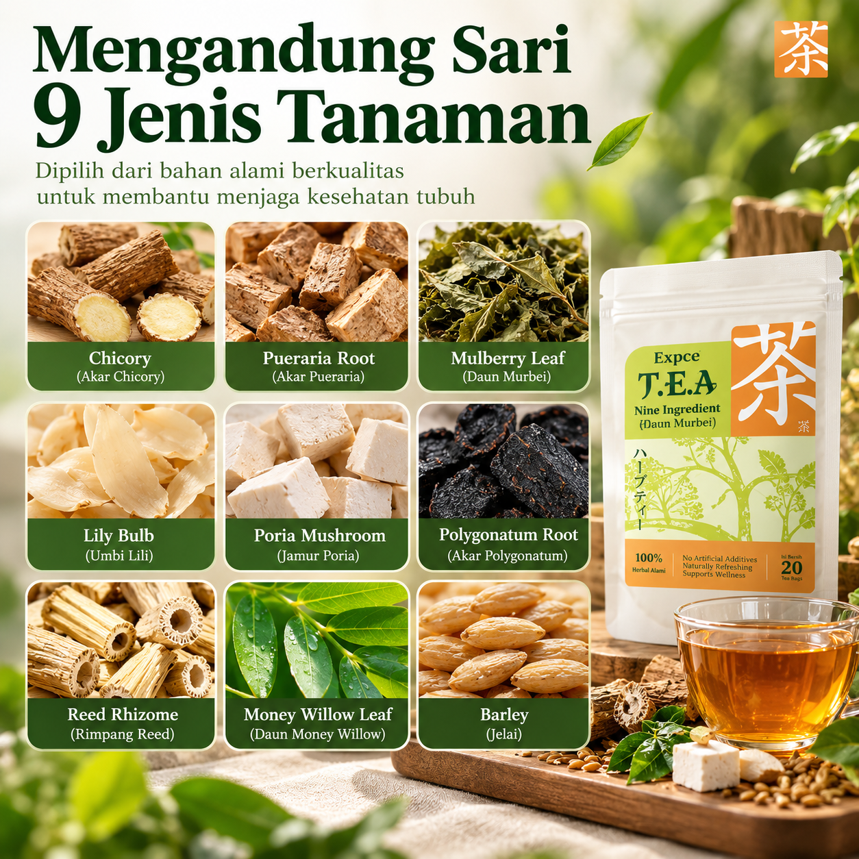 9 Tanaman Herbal