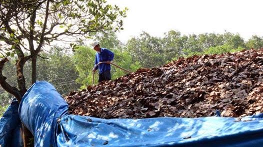 10-ca-phe-cung-tony_chuyen-nang-an-thi-2