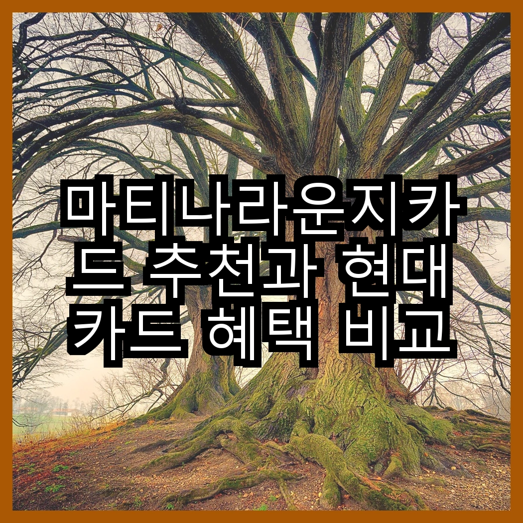 마티나라운지카드 추천과 현대카드 혜택 비교 썸네일