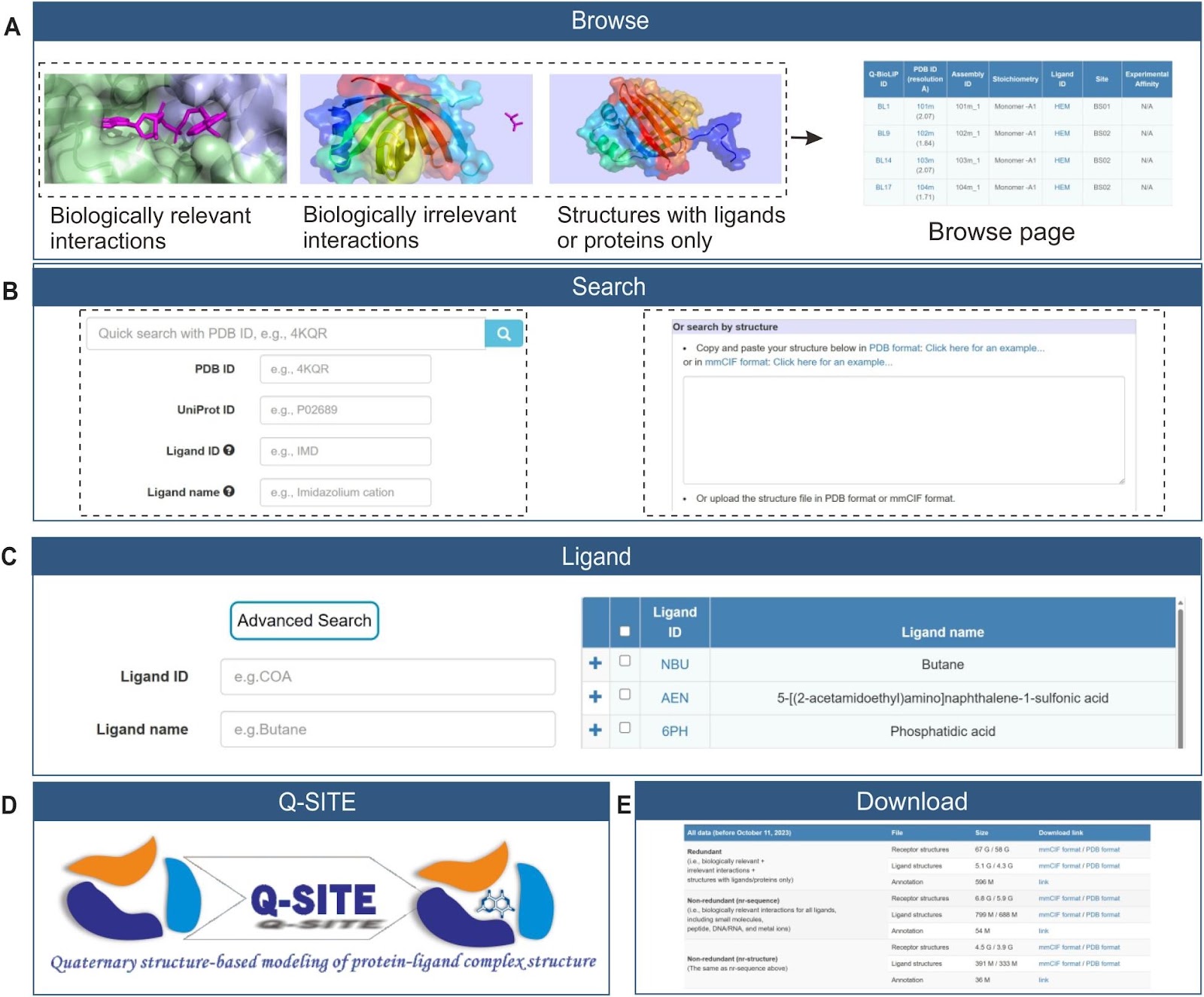 Q-BioLiP: A Comprehensive Resource for Quaternary Structure-based Protein–ligand Interactions