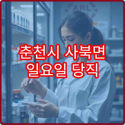 춘천시 사북면 일요일 당직 약국 찾는 방법 한눈 정리