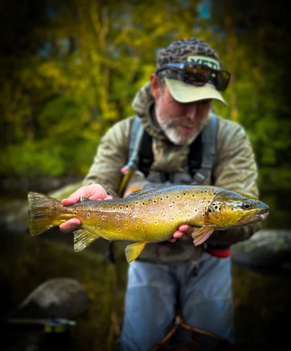 Steven Shorrock tying trout and grayling flies