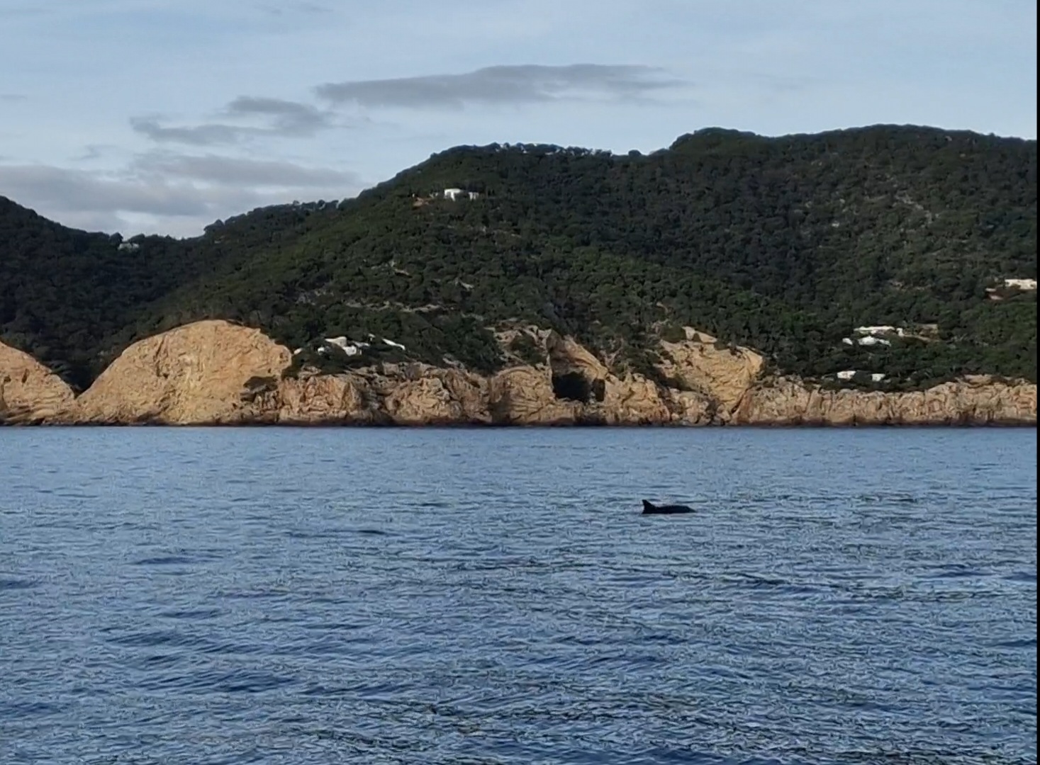 Photo de la navigation NAV-022