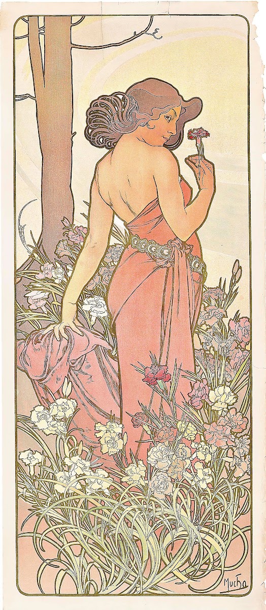 The Carnation 1897