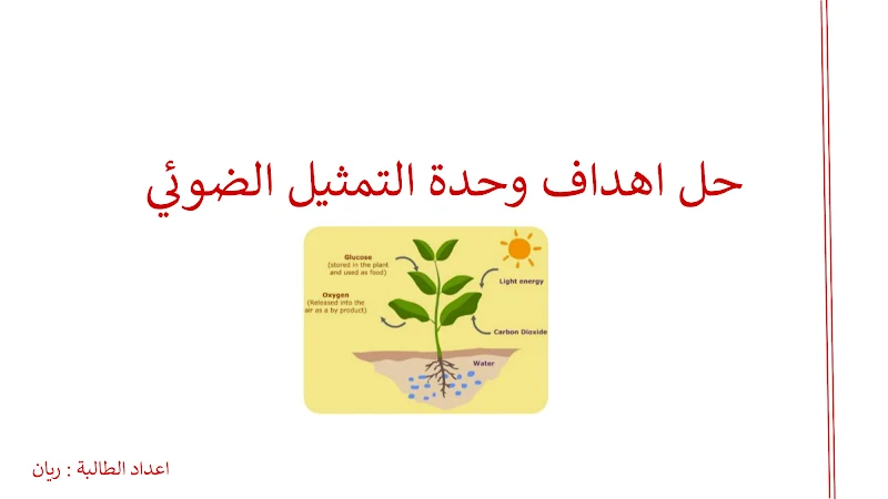 صورة الغلاف