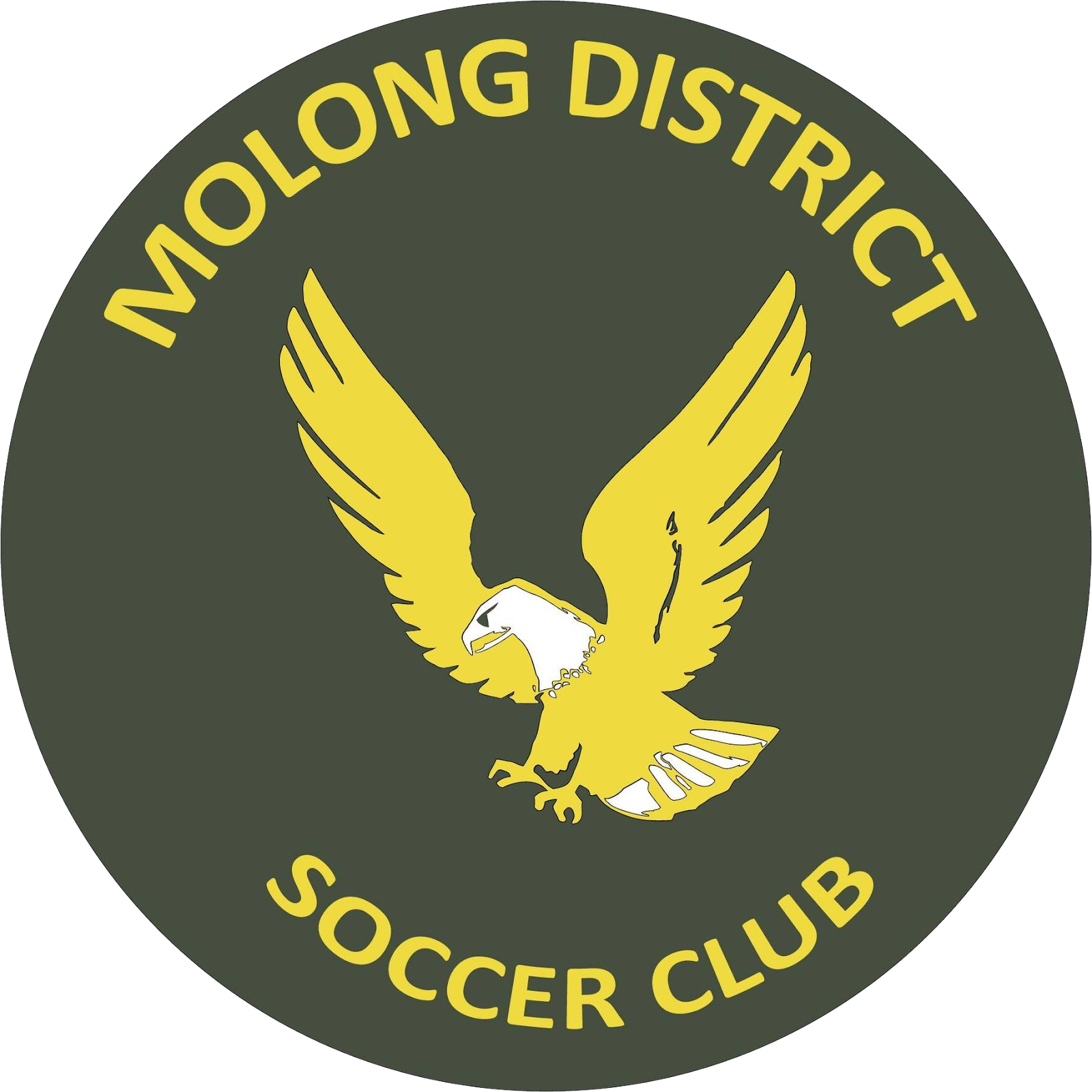Molong logo