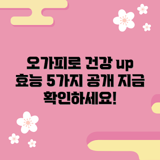 오가피 효능, 오가피 건강 정보, 면역력 강화, 2023 건강 트렌드, 자연 건강 식품