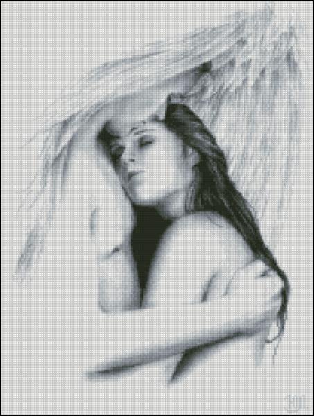 CMP 280240 Forbidden Love