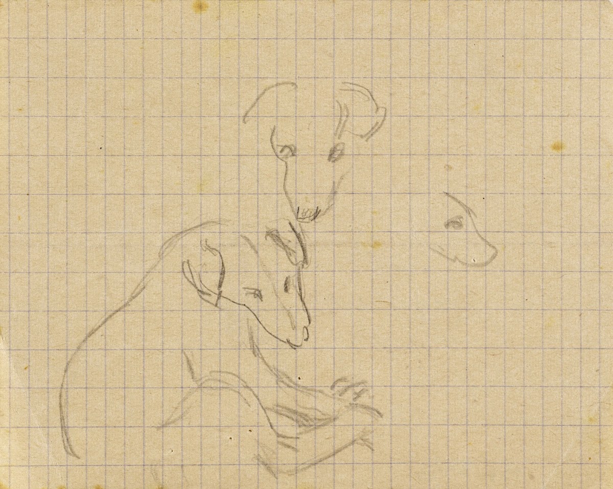 Trois études de chien