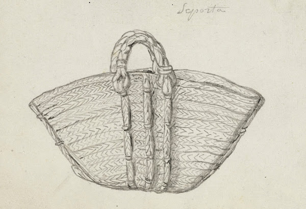 Etude dun panier en osier