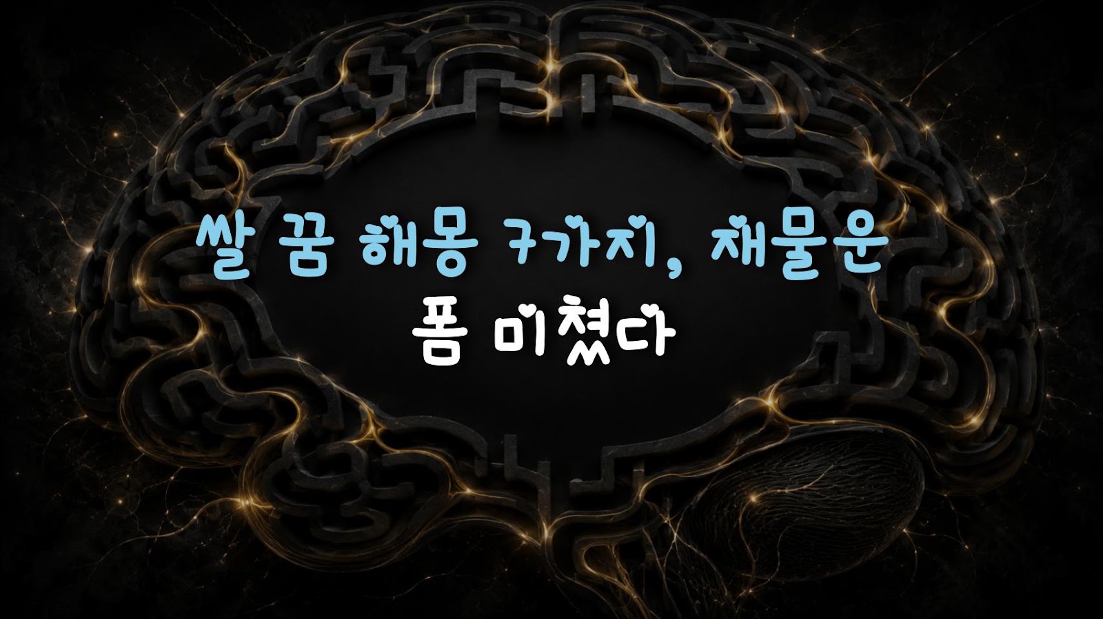 쌀 꿈 해몽 7가지, 재물운 폼 미쳤다