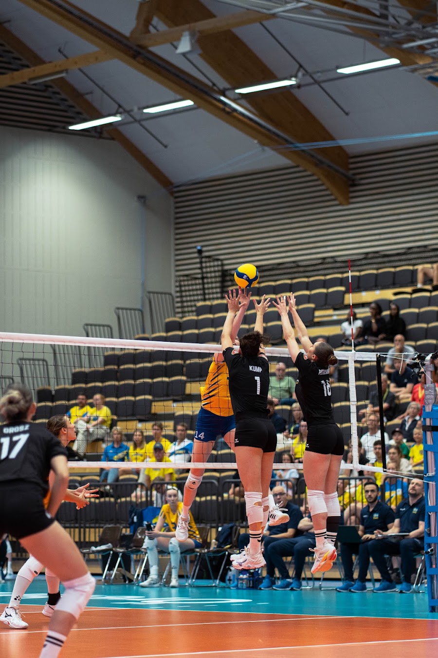 Sweden Hungary 253